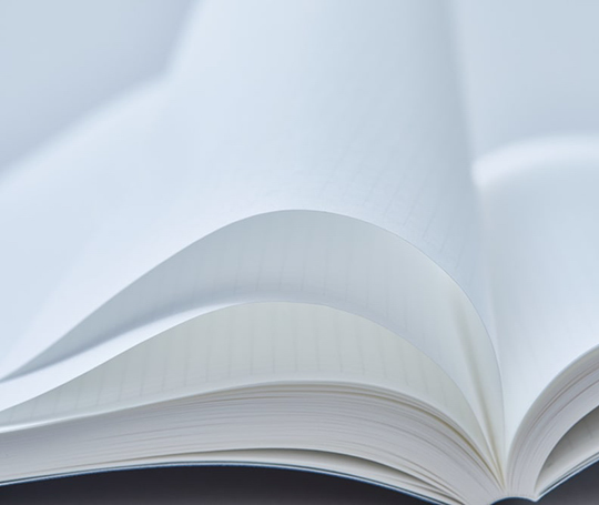 Stàlogy - Carnet 365 jours B5 - Noir