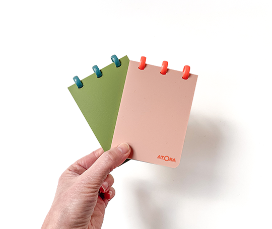 Atoma - Carnet Terra - petit reporter