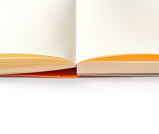 Life - Noble bloc-notes - A4 - quadrillé