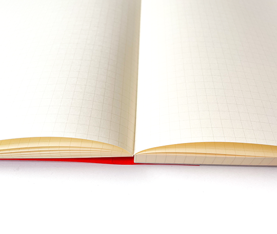 Life - Noble bloc-notes - A4 - quadrillé