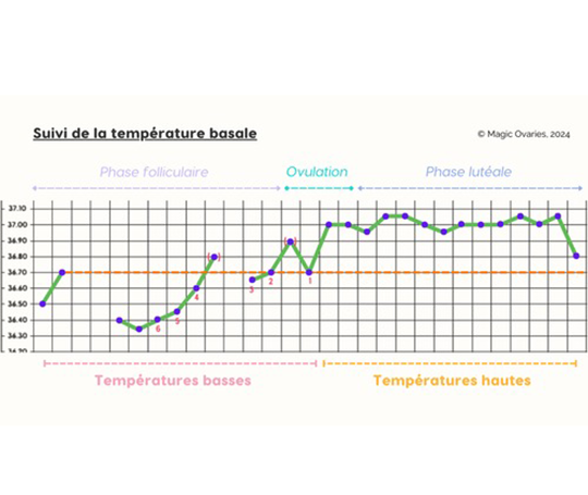 Agenda Menstruel (en français)