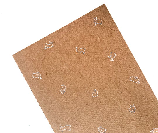 Carnet Jumping Bunny