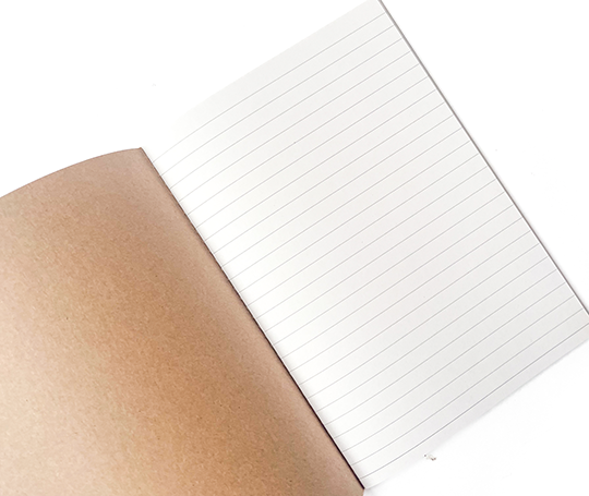 Carnet Jumping Bunny