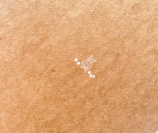 Carnet Jumping Bunny