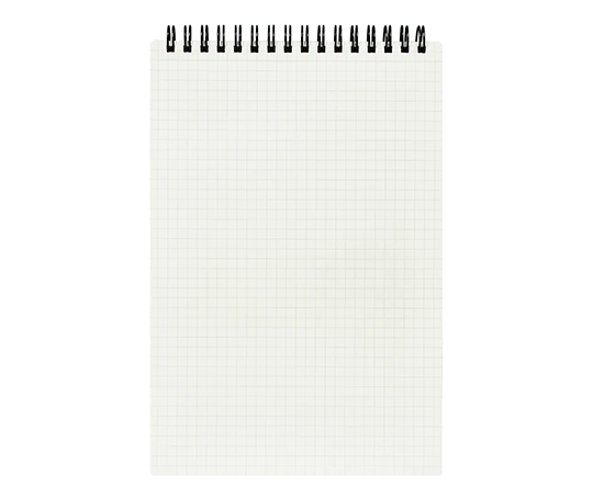 Mnemosyne 165 - Carnet A5 quadrillé