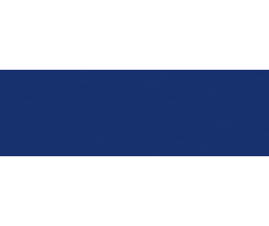 MT uni - washi tape Bleu nuit ruri