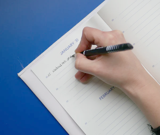 Journal "One line a day"