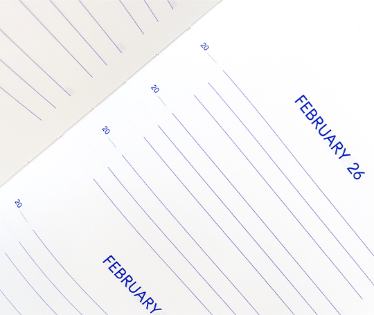 Journal "One line a day"