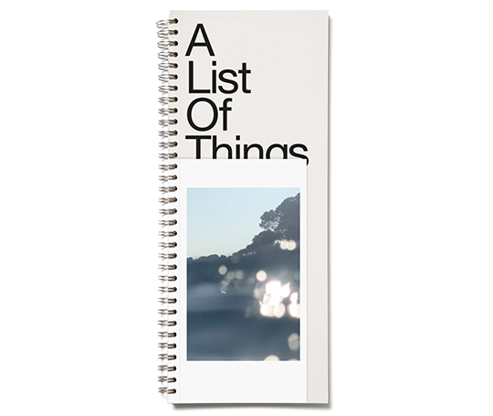 Marjolein Delhaas - A List of Things