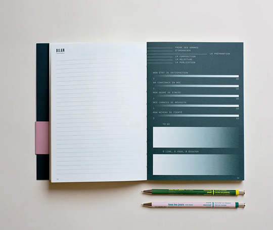 Carnet pour un roman