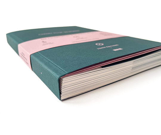 Carnet pour un roman