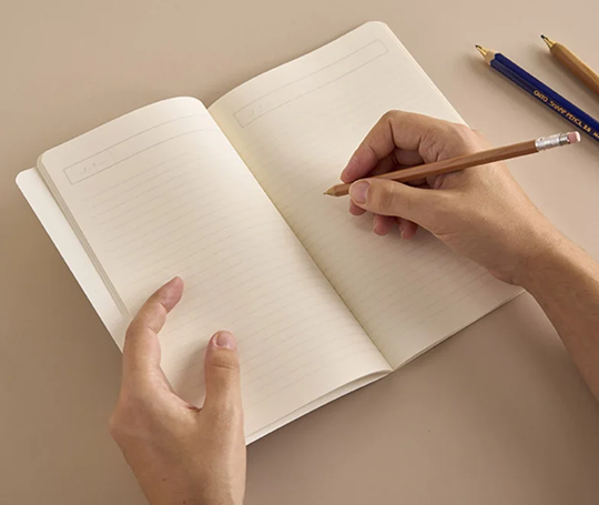 Season Paper - carnet illustré - Flores