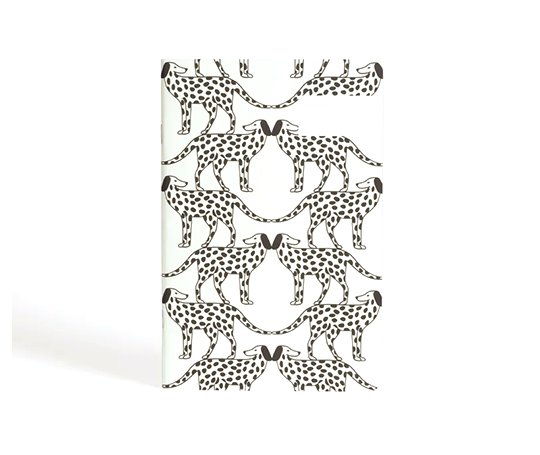 Season Paper - carnet illustré - Dalmatien