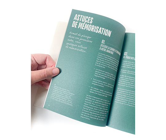 Le carnet de la curiosité