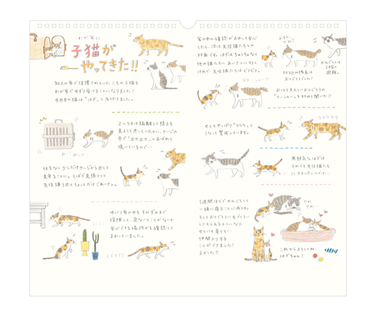 Midori - Calendrier 2026 - Chats