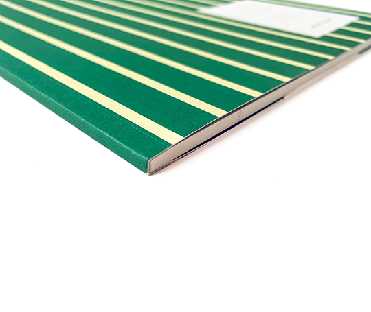 Notem - grand carnet VITA  - Green & Yellow