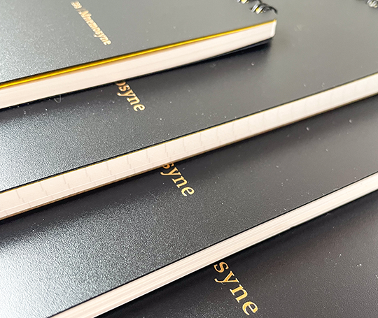 Mnemosyne 105 - Carnet A5 à petits points