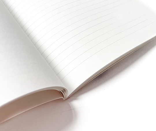 Carnet medium - Eolien