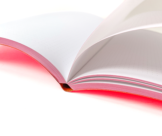 Carnet à couverture souple et élastique - Voyager Cloud