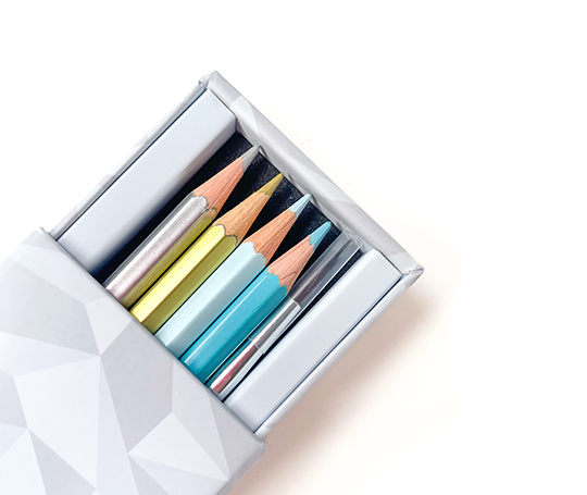 Caran d'Ache - set de 9 crayons bicolores aquarellables + 1 pinceau