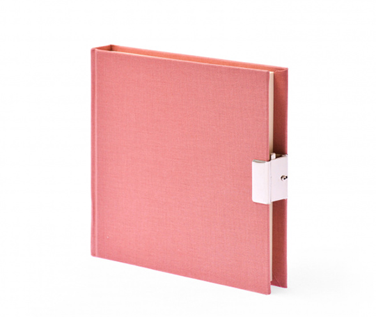 Journal intime top secret - Vieux rose