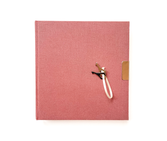 Journal intime top secret - Vieux rose