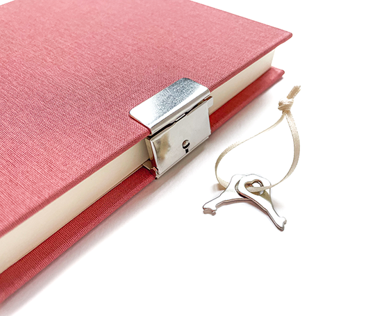 Journal intime top secret - Vieux rose