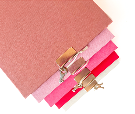 Journal intime top secret - Rose clair