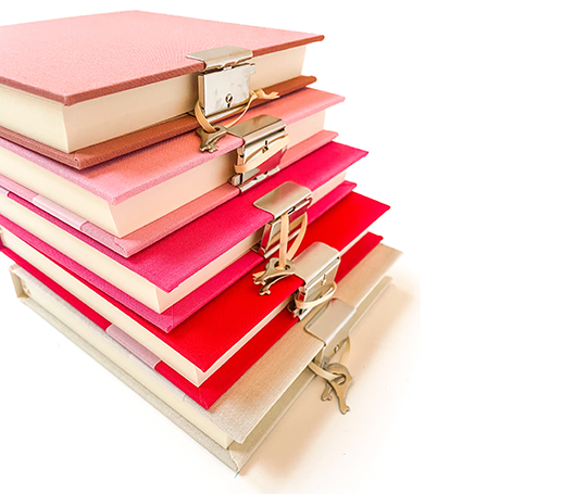 Journal intime top secret - Rouge