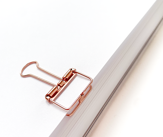 Marjolein Delhaas journal 365 (+ housse) - No 1955 Bordeaux