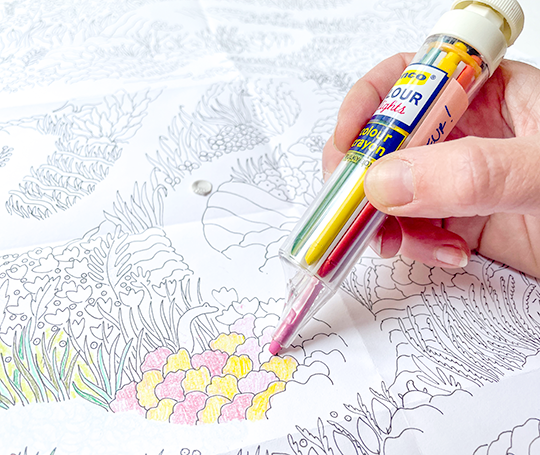 Pastel à 8 couleurs - Bleu