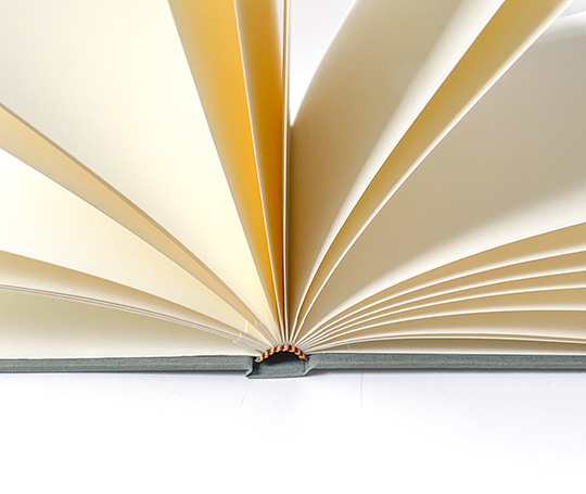 Album photo/scrapbooking, 23x23 cm, 40 pages - vert de gris