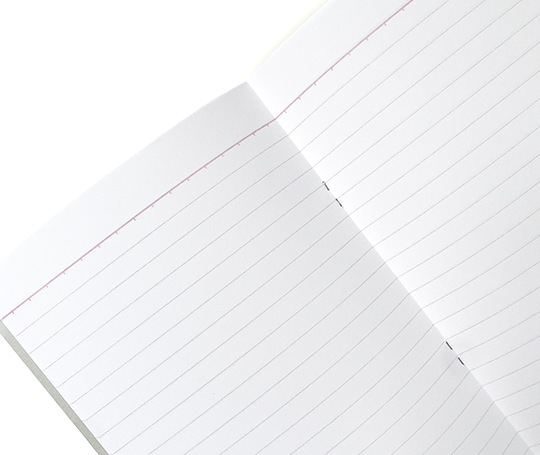 Carnet souple à rayures