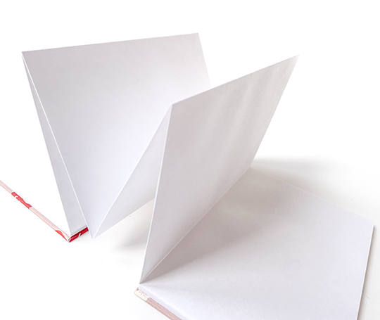 Carnet en accordéon - Daruma