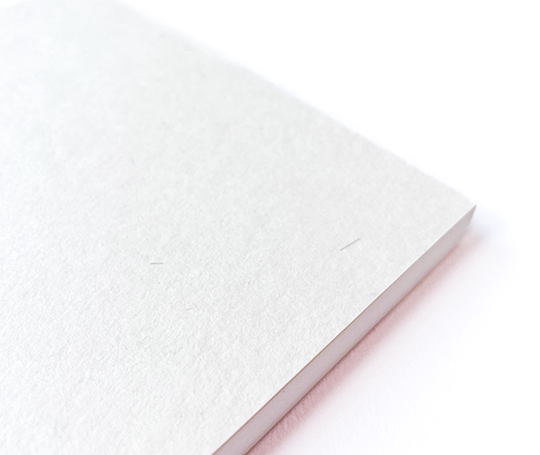 Planificateur mensuel et notes - yy mm dd