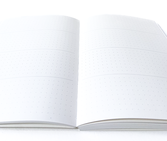 Planificateur mensuel et notes - yy mm dd