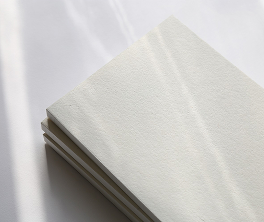 Planificateur mensuel et notes - yy mm dd