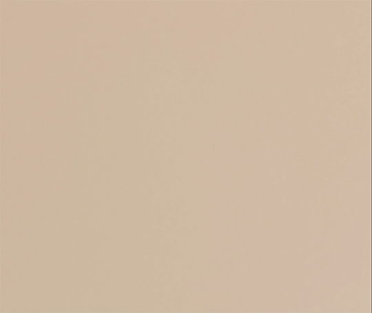 Boîte en acier Tool Box T-190 - Beige