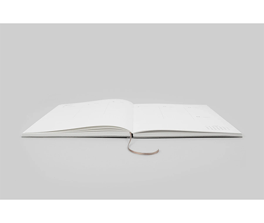 Planner Klasyk non daté - Pumpkin