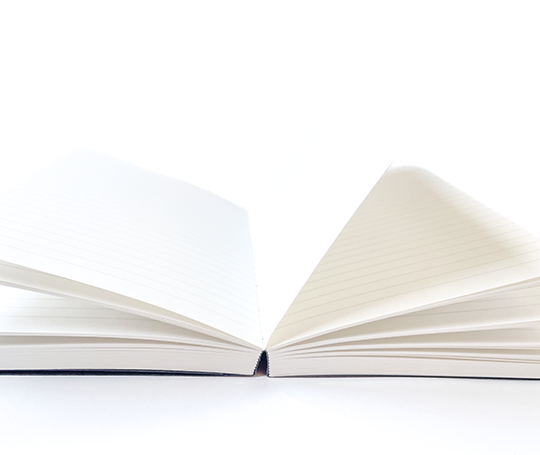 Mishmash - carnet Naked A5 - Deep Brown