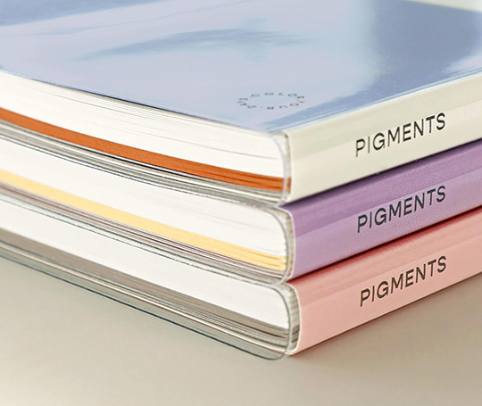 Carnet Pigments - Indi Pink