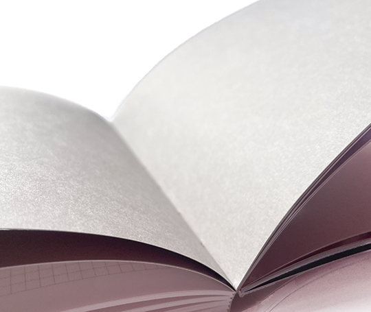 Carnet Pigments - Indi Pink