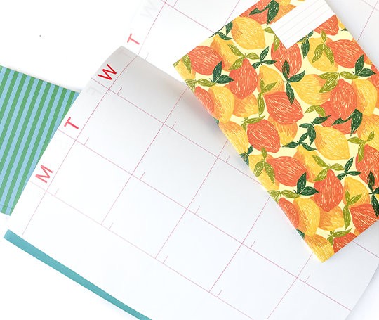 Season Paper - carnet illustré - Limonata