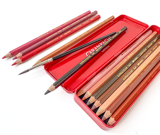 Caran d'Ache - Set créatif Nina Cosford 12 crayons Supracolor