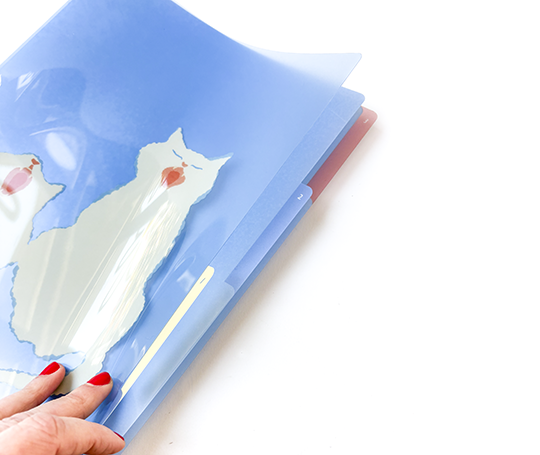 Chemise A4 en plastique à onglets