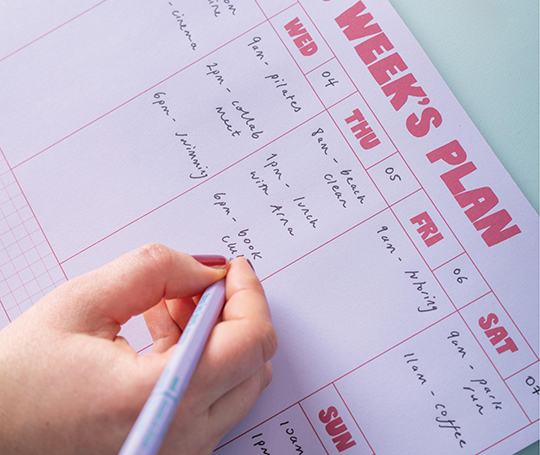 Planificateur hebdomadaire "This week's plan"