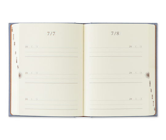 Midori - 3 Year diary - blue-purple