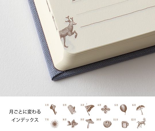 Midori - 3 Year diary - blue-purple