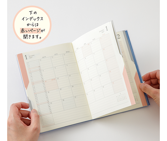 Midori - Agenda 2027 Double schedule