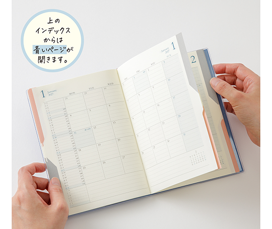Midori - Agenda 2027 Double schedule